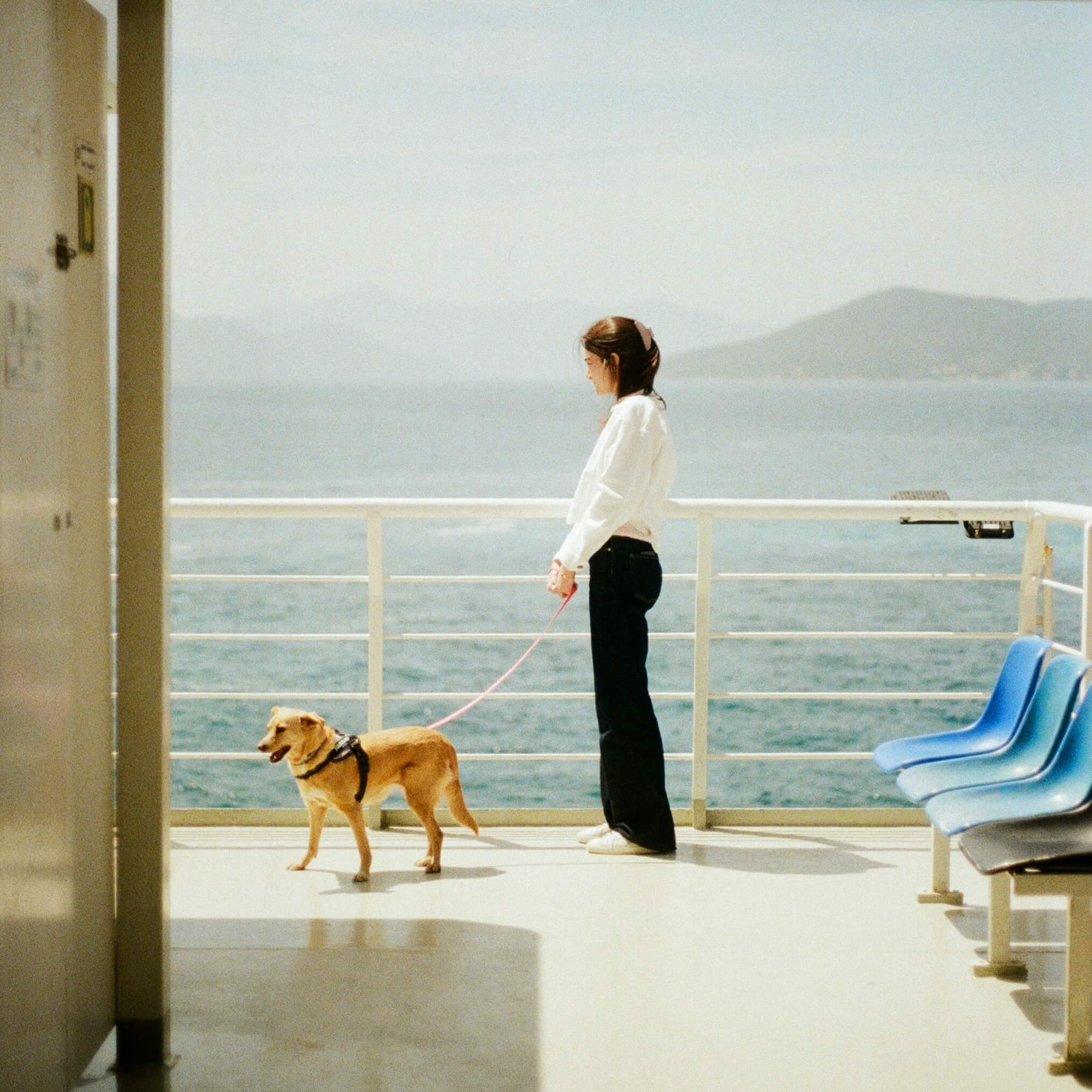 Woman workingking on laptop